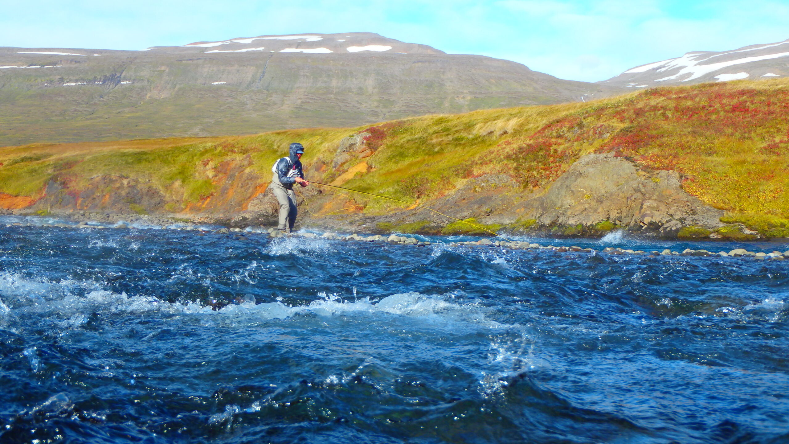 Tekijänoikeus kuviin